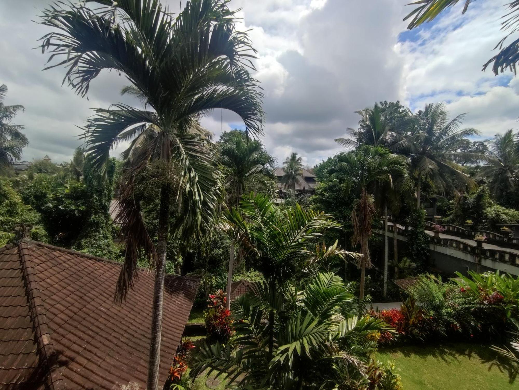 Sari Wangi Cottage Ubud Eksteriør billede