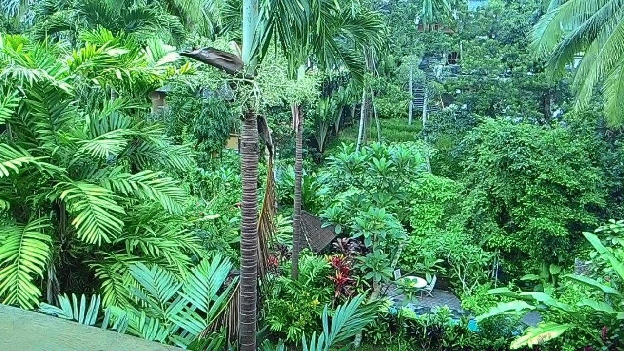 Sari Wangi Cottage Ubud Eksteriør billede